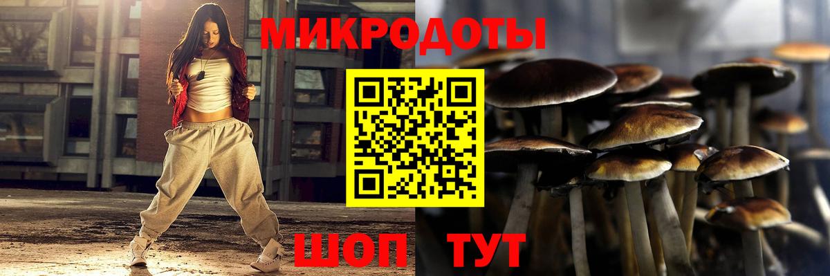 Приморско-Ахтарск  цена   Вход с VPN  Галлюциногенные грибы GOLDEN TEACHER  Псилоцибиновые грибы Psilocybe 